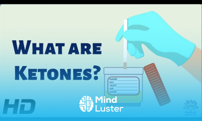 What Are Ketones and Why Are They So Important for Your Health