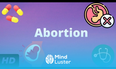 Abortion Everything You Need To Know