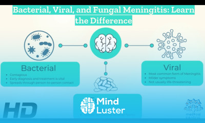 Decoding Meningitis Understanding Bacterial Viral and Fungal Varieties