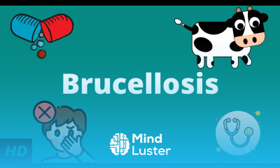 Brucellosis Causes Signs and Symptoms Diagnosis and Treatment