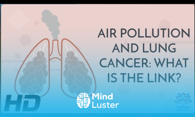 From Haze to Harm The Impact of Air Pollution on Lung Cancer