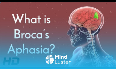 Broca s Aphasia and the Brain What We Know and What We re Still Learning