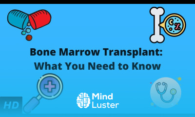 Bone Marrow Transplant What You Need to Know