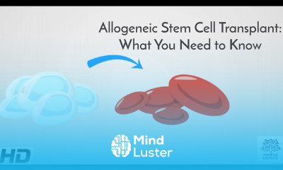 Allogeneic Stem Cell Transplant What You Need to Know