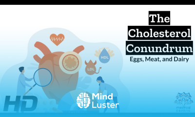 The Cholesterol Debate Decoding the Role of Eggs Meat and Dairy