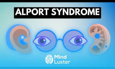 Alport Syndrome Causes Signs and Symptoms Diagnosis and Treatment