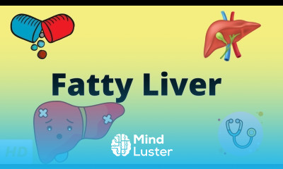 Fatty Liver Causes Signs and Symptoms Diagnosis and Treatment