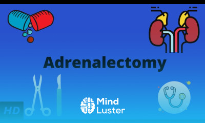 What You Need to Know