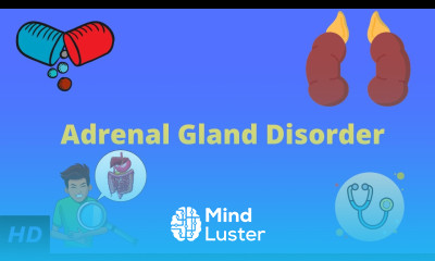 Adrenal Gland Disorder Everything You Need to Know