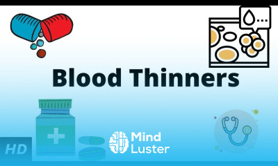 Blood Thinners Everything You Need to Know