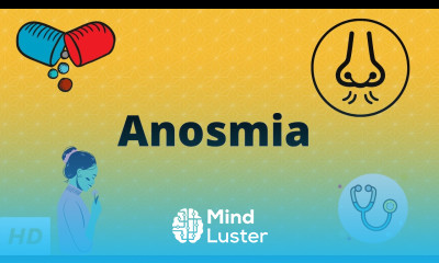 Anosmia Causes Signs and Symptoms Diagnosis and Treatment