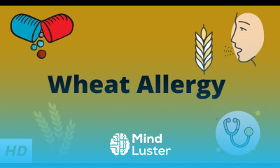 Wheat Allergy Causes Signs and Symptoms Diagnosis and Treatment