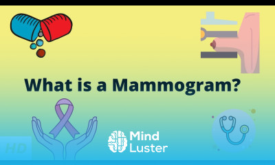 What is a Mammogram Everything you need to know