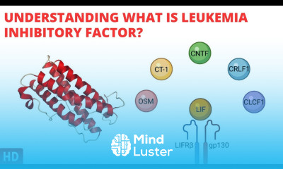 Leukemia Inhibitory Factor Demystified Exploring its Significance in Health and Disease