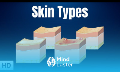 Skin Types Everything You Need To Know