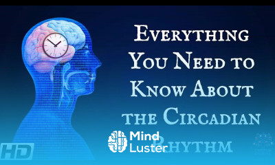Everything You Need To Know About The Circadian Rythm