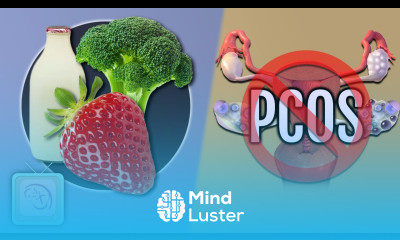 PCOS Diet Plans Which natural diet is best for weight loss Fertility