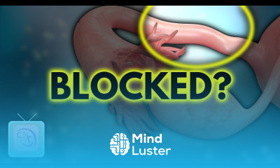 Can you get pregnant if one tube is blocked TTC Tips