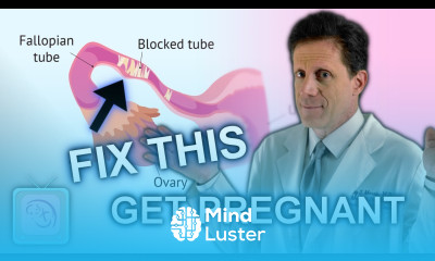 HSG blocked fallopian tubes What now