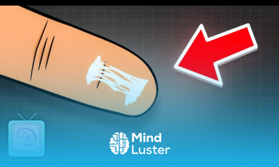 Is cervical mucus good for predicting the fertile window