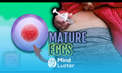 How to mature your eggs for IVF