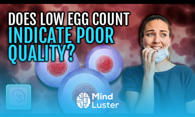 Does low AMH low ovarian reserve mean worse eggs Or just fewer