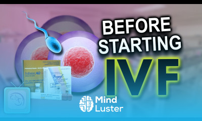 How good are your ovaries for IVF Essential fertility tests for IVF success