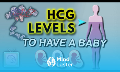 hCG levels in early pregnancy Does hCG have to double in 2 days