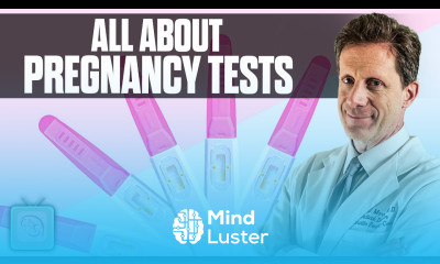 Essential facts to know about your IVF pregnancy test