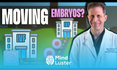 5 reasons you might need to move your IVF embryos to a different center