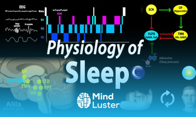 Sleep Physiology Animation