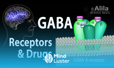Neuroscience Basics GABA Receptors and GABA Drugs Animation