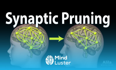Synaptic Pruning Animation