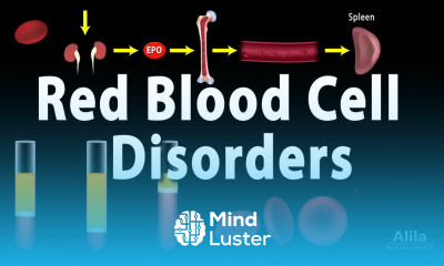 Red Blood Cell Life Cycle and Disorders Animation