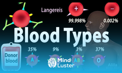 Blood Types Blood Group Systems and Transfusion Rule Animation