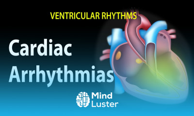 Cardiac Arrhythmias Animation