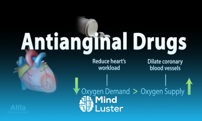 Pharmacology Antianginal Drugs Animation