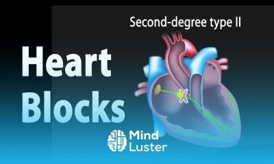 Heart Blocks Anatomy and ECG Reading Animation