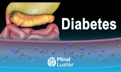 Diabetes Type 1 and Type 2 Animation