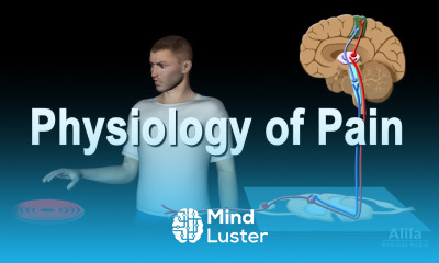 Physiology of Pain Animation