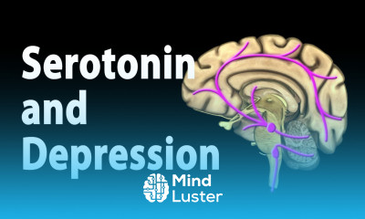 Serotonin and Treatments for Depression Animation
