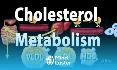 Cholesterol Metabolism LDL HDL and other Lipoproteins Animation