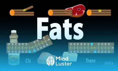 Unsaturated vs Saturated vs Trans Fats Animation