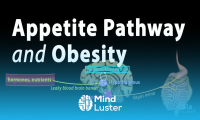 The Brain s Hunger Satiety Pathways and Obesity Animation
