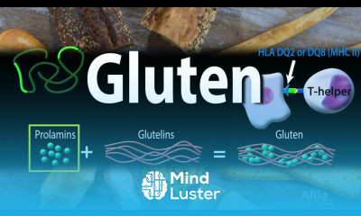 Gluten and Gluten Related Disorders Animation