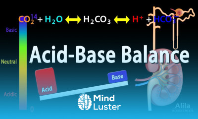 Acid Base Balance Animation