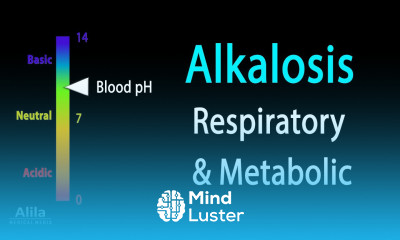 Alkalosis Respiratory and Metabolic Animation