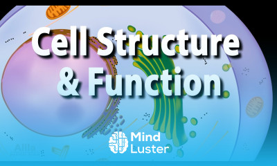 Cell Structure and Functions Animation