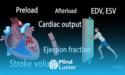 Cardiac Output Stroke volume EDV ESV Ejection Fraction