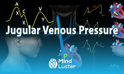 Jugular Venous Pressure Animation